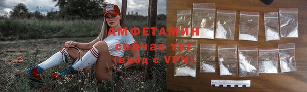 гидра Белокуриха