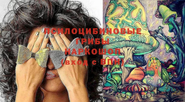 гидра Белокуриха