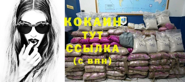 гидра Белокуриха