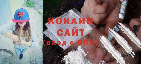сатива Баксан