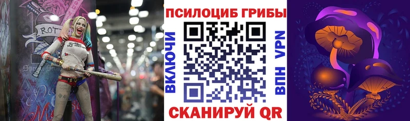 Псилоцибиновые грибы Psilocybine cubensis Ленск
